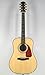 Fender Acoustics CD-220S ASIAN STRIPED EBONY