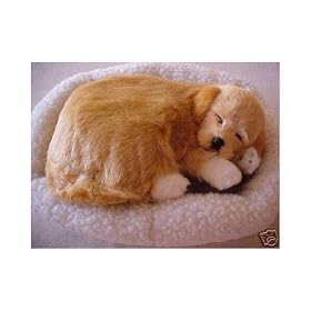 Cocker Spanial Puppie - Pet Mate Nap Breathing Life Like Dog in Bed Sleeping Pet by 