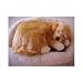 Cocker Spanial Puppie - Pet Mate / Nap Breathing Life Like Dog in Bed Sleeping Pet