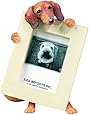 Dachshund Red 2.5'' x 3.5'' Photo FramePhoto