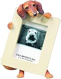Dachshund Red 2.5'' x 3.5'' Photo FramePhoto