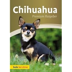 Chihuahua: Premium Ratgeber