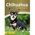 Chihuahua: Premium Ratgeber