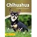 Chihuahua: Premium Ratgeber