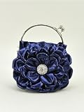 41b6hZZpthL. SL160  Big Flowers Clutch Evening Bag (Blue)