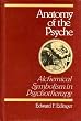 Anatomy of the Psyche: Alchemical Symbolism in Psychotherapy