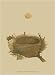 Antique Nest Egg II - Art Print Poster 9.5 x 1