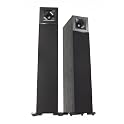 Floorstanding Speaker