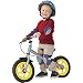 Two Wheel Trainer