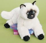 Tasha Himalayan - 16
