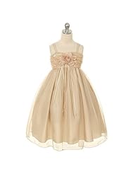Girls Tea Length Mesh Sheer Sleeveless Organza Flower-Girl Dress  With a Sash 