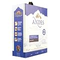 Andes Cabernet Sauvignon Chile Qualit�tswein 2010, 1er Pack (1 x 3 l)