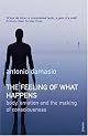 The Feeling of What Happens: Body and Emotion in the Making of Consciousness