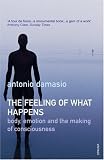 The Feeling of What Happens: Body and Emotion in the Making of Consciousness