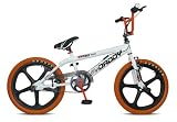20' BMX Rooster Big Daddy Skyway 20 Farben Model 2012