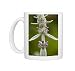 Photo Mugs of Lambs ear from Ardea Wildlife Pets
