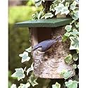 Open Birch Log Bird Nest Box