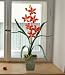 Cymbidium Silk Orchid Flower Arrangement
