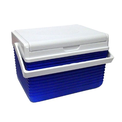 Wholesale Ice Chest Cooler Case Pack 12 Coolers Leland C. Yeagerler
