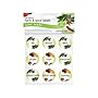 Kitchen Craft Self Adhesive Spice Labels, Pack of 45