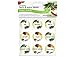 Kitchen Craft Self Adhesive Spice Labels, Pack of 45