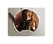 Search : Brand New Star Wars Mouse Pad Jango Fett