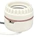 8101 Leviton Porcelain Lampholders