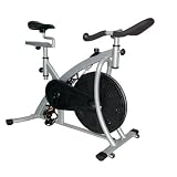 Sunny Indoor Cycling Exercise Bike
