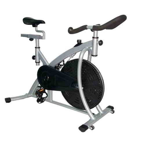 Sunny Indoor Cycling Exercise Bike