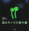 光るキノコと夜の森