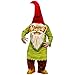 Fun World Unisex Big Head Evil Gnome Adult Costume