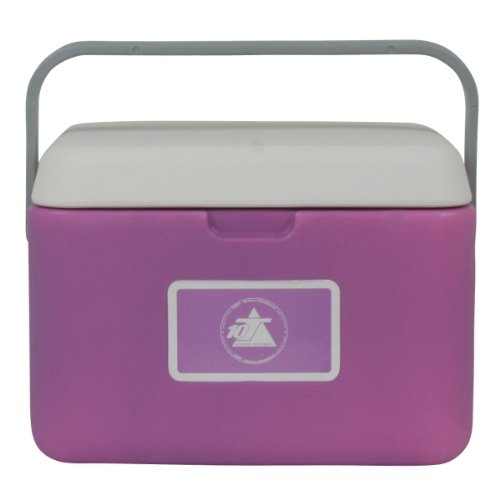 10T Fridgo 5 Glacière passive Lavande/Gris Clair 27 x 22 x 19,5 cm