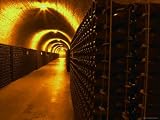 Wine Cellar, Old Chalk Quarry, Champagne Ruinart, Reims, Marne, Ardennes, France Photographic Poster Print by Per Karlsson, 32x24