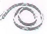 AMMCO 6920 Ventilated Rotor Silencer Band