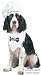 Pet Chef Dog Halloween Costume For Large Dogs