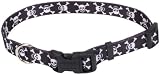 Pet Attire Styles Adjustable Dog Collar, 10-14-Inches, Skull and Cross Bones