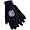 Connecticut Huskies