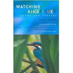 Watching for the Kingfisher