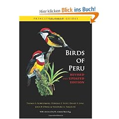 Birds of Peru: Revised and Updated Edition (Princeton Field Guides)