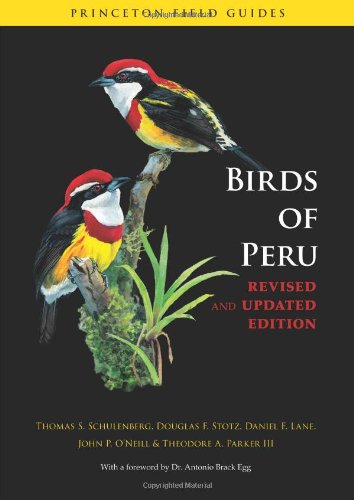 Birds of Peru: Revised and Updated Edition (Princeton Field Guides)