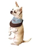Cool It Dog Bandana, Small Assorted Color