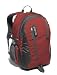 Jansport Agave Rucksack - Red Curtain