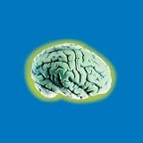 Glow Brain