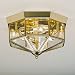Kitchen & Housewares : Flush Ceiling Light