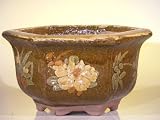 41b9Jrc hlL. SL160  Bonsai Boys Ceramic Bonsai Pot 8 0x5 5 Tall Floral Design   Brown Yellow Color Hexagon Shape