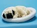 Pug Snoring Figure Lifelike Realistic Decoration Collectible Figurine