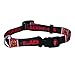 NHL Chicago Blackhawks Adjustable Pet Collar, Team Color, Medium