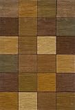 Contemporary Area Rug, Oriental Weavers Sphinx Allure Multi