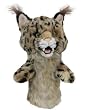 Daphne's Novely Headcover - Bobcat - Daphne's