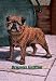 12 X 18 Stretched Canvas Poster Typical Brussels Griffon Champion